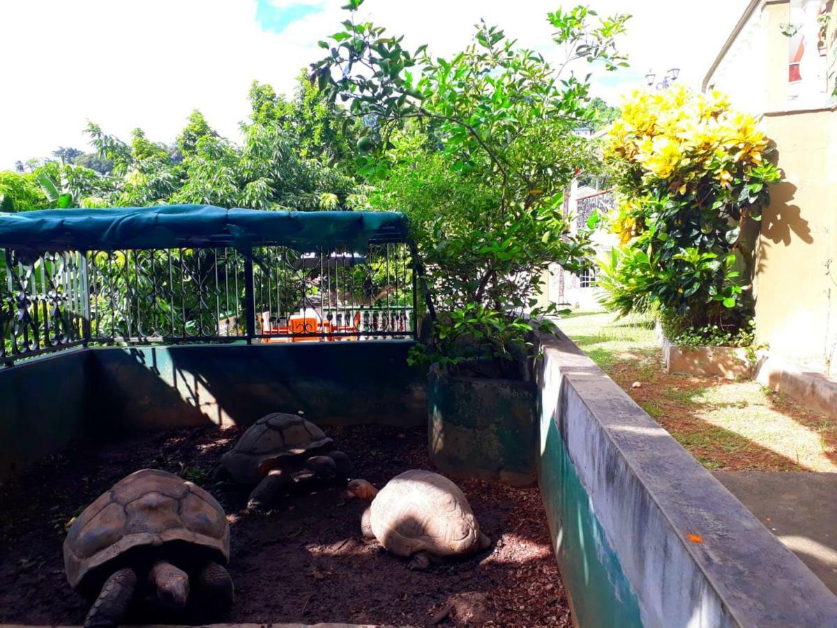 维多利亚Hibiscus House Seychelles Self Catering公寓 外观 照片